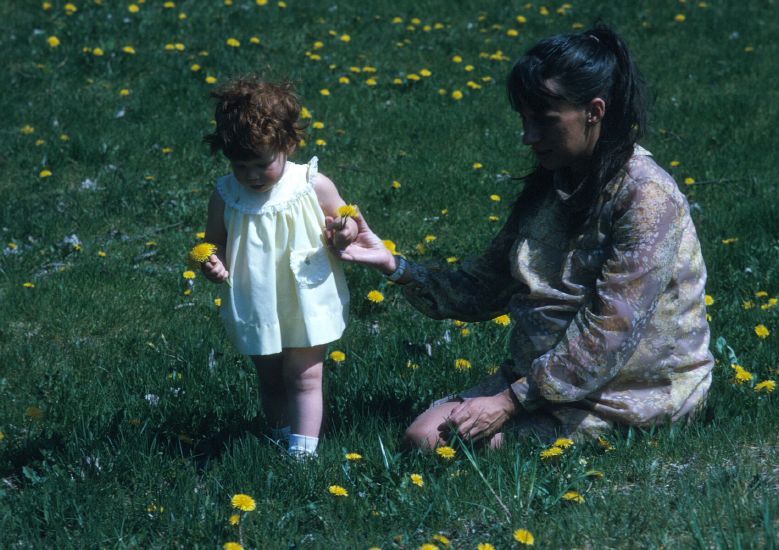  picking dandelions